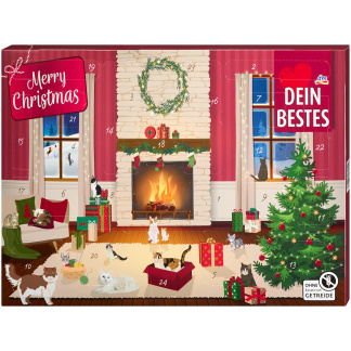DM Dein Bestes Adventskalender Kat 2025 "Merry Christmas"