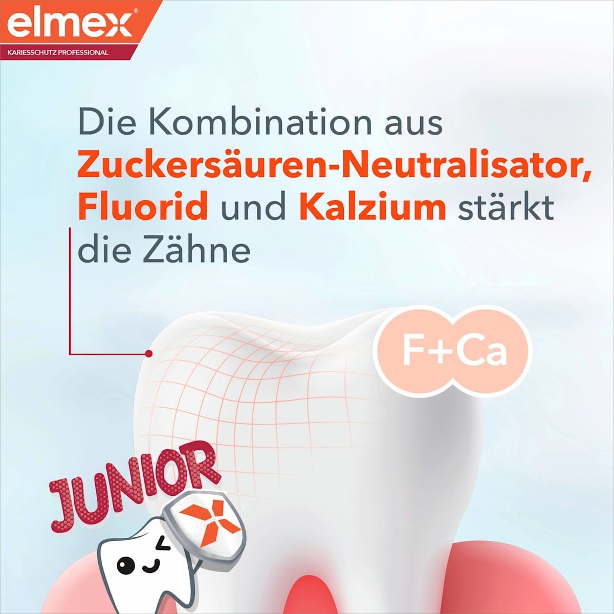 Elmex Tandpasta Junior Cariësbescherming Professional - Afbeelding 6