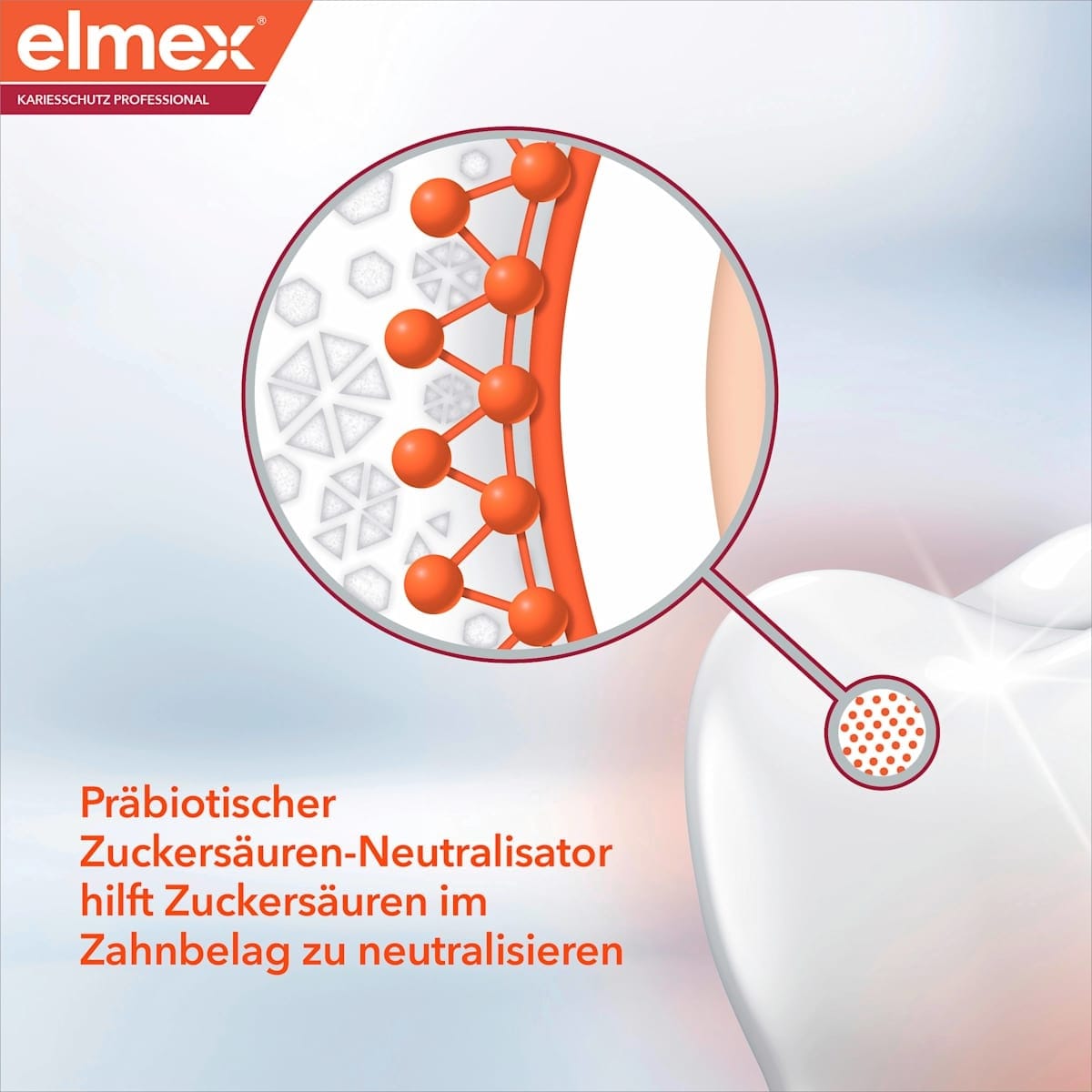 Elmex Tandpasta Cariësbescherming Professional - Afbeelding 5